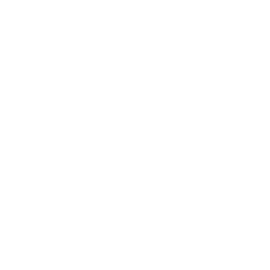 Align The Fibers logo