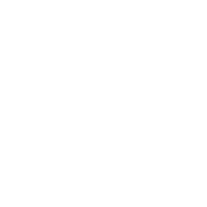 That 1 Painter logo
